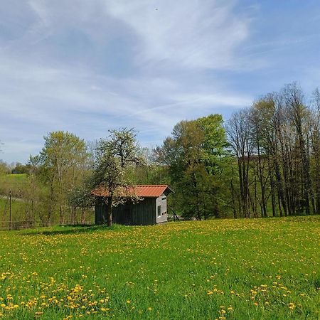 카우프보이렌 Berghof-Glueck 아파트 외부 사진